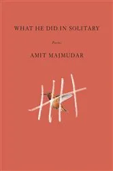 Book cover of What He Did in Solitary by Amit Majmudar