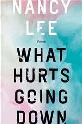 Book cover of What Hurts Going Down by Nancy Lee