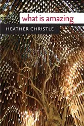 Book cover of What Is Amazing by Heather Christle