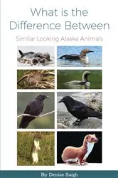 Book cover of What is the Difference Between by Unknown