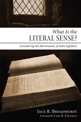 Book cover of What Is the Literal Sense? by Jace R. Broadhurst
