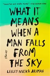 Book cover of What It Means When a Man Falls from the Sky by Lesley Nneka Arimah