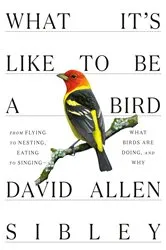 Book cover of What It's Like to Be a Bird by David Allen Sibley