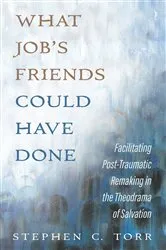 Book cover of What Job’s Friends Could Have Done by Stephen C. Torr