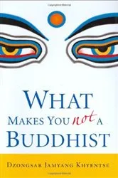 Book cover of What Makes You Not a Buddhist by Dzongsar Jamyang Khyentse