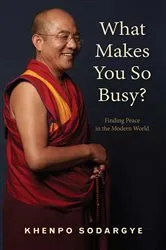 Book cover of What Makes You So Busy? by Khenpo Sodargye