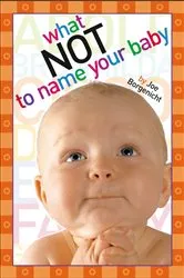 Book cover of What Not to Name Your Baby by Joe Borgenicht