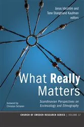 Book cover of What Really Matters by Jonas Ideström
