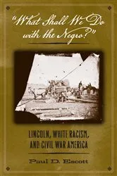 Book cover of 