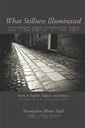 Book cover of What Stillness Illuminated by Yermiyahu Ahron Taub