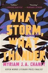 Book cover of What Storm, What Thunder by Myriam JA Chancy