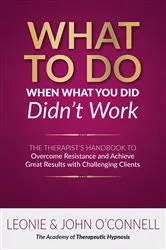 Book cover of What to Do When What You Did Didn't Work by Leonie and John O'Connell