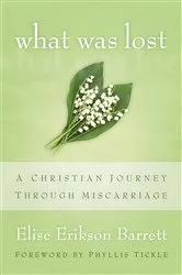 Book cover of What Was Lost by Elise Erikson Barrett