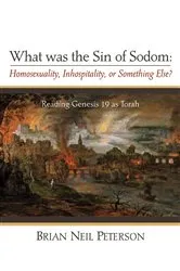 Book cover of What was the Sin of Sodom: Homosexuality, Inhospitality, or Something Else? by Brian Neil Peterson