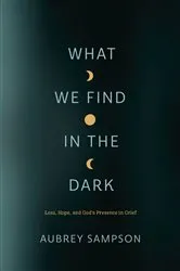 Book cover of What We Find in the Dark by Aubrey Sampson