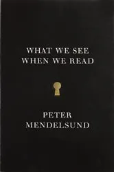 Book cover of What We See When We Read by Peter Mendelsund