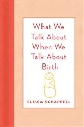 Book cover of What We Talk About When We Talk About Birth by Elissa Schappell