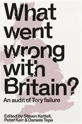 Book cover of What went wrong with Britain? by Steven Kettell