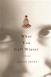 Book cover of What You Call Winter by Nalini Jones