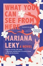 Book cover of What You Can See from Here by Mariana Leky