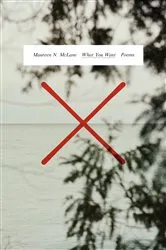 Book cover of What You Want by Maureen N. McLane