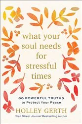 Book cover of What Your Soul Needs for Stressful Times by Holley Gerth