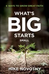 Book cover of What's Big Starts Small by Mike Novotny
