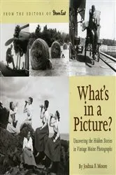Book cover of What's in a Picture? by Joshua F. Moore