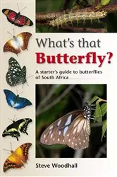 Book cover of What's that Butterfly? by Steve Woodhall