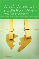 Book cover of What's Wrong with a Little Porn When You're Married? by R. Nicholas Black