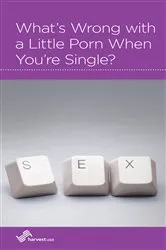 Book cover of What's Wrong with a Little Porn When You're Single? by R. Nicholas Black