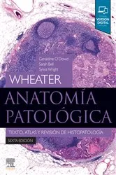 Book cover of Wheater. Anatomía patológica (6th ed.) by O'Dowd BSc (Hons), MBChB (Hons), FRCPath, Geraldine