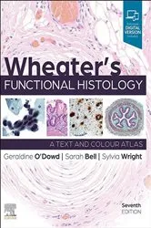 Book cover of Wheater's Functional Histology, E-Book (7th ed.) by O'Dowd BSc (Hons), MBChB (Hons), FRCPath, Geraldine