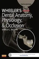 Book cover of Wheeler's Dental Anatomy, Physiology and Occlusion - E-Book (10th ed.) by Nelson DDS, MS, Stanley J.