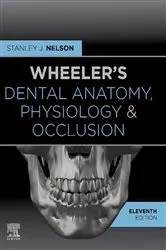 Book cover of Wheeler's Dental Anatomy, Physiology and Occlusion - E-Book (11th ed.) by Nelson DDS, MS, Stanley J.