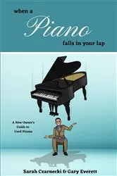 Book cover of WHEN A PIANO FALLS IN YOUR LAP by Sarah Czarnecki