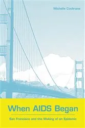 Book cover of When AIDS Began by Michelle Cochrane