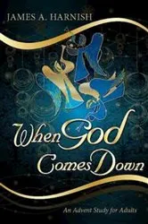 Book cover of When God Comes Down by James A. Harnish