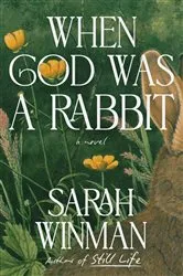 Book cover of When God Was a Rabbit by Sarah Winman
