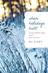 Book cover of When Holidays Hurt by Bo Stern