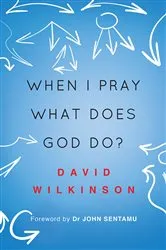 Book cover of When I Pray, What Does God Do? by David Wilkinson