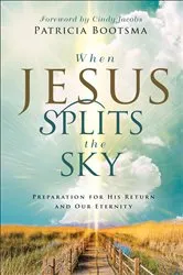 Book cover of When Jesus Splits the Sky by Patricia Bootsma