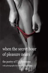 Book cover of When the Secret Hour of Pleasure Nears by Cameron MacMaster