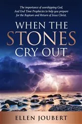 Book cover of WHEN THE STONES CRY OUT by Ellen Joubert
