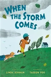 Book cover of When the Storm Comes by Linda Ashman