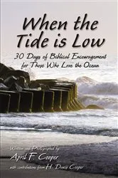 Book cover of When the Tide is Low by April F. Cooper