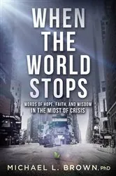 Book cover of When the World Stops by Michael L. Brown