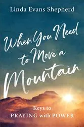 Book cover of When You Need to Move a Mountain by Linda Evans Shepherd