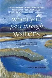 Book cover of When You Pass Through Waters by Nicole Seitz