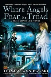 Book cover of Where Angels Fear to Tread by Thomas E. Sniegoski